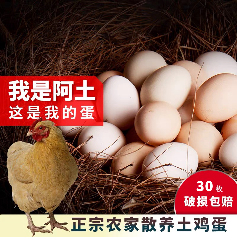 30枚鸡蛋新鲜土鸡蛋农家散养