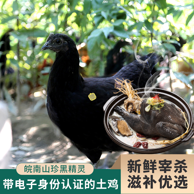 缘琳山大别山区身份证五黑鸡