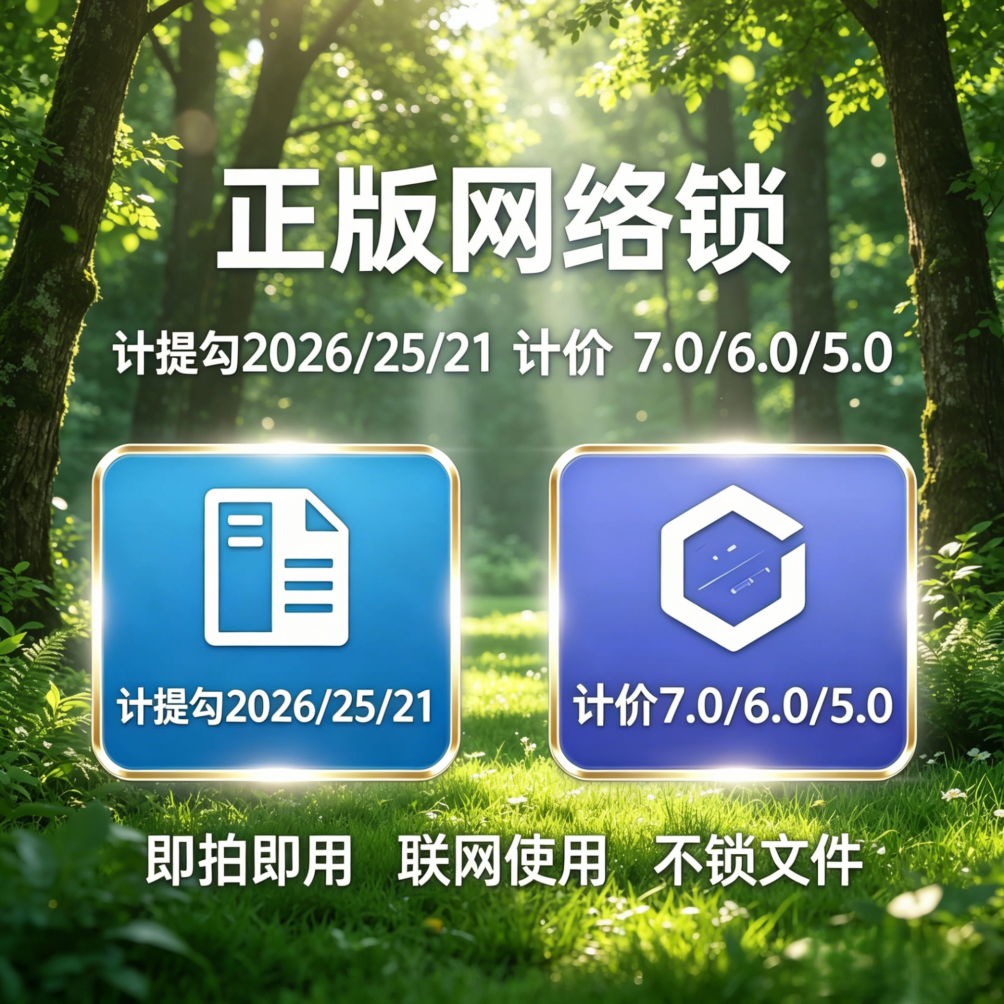正版网络锁加密锁加密软件加密锁加密软件加密锁
