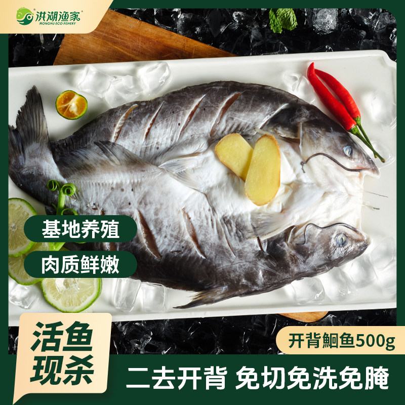 洪湖渔家新鲜开背鮰鱼冷冻清蒸红烧烧烤无小刺适宜儿童老人淡水鱼