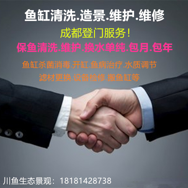 成都上门清洗维护鱼缸造景水族箱鱼换水病治疗水质搬运维修养护
