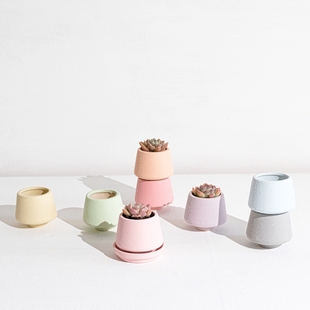 花语 ins马卡龙小清新素烧盆 多肉花盆绿植盆 控型透气粗陶拇指盆