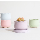 花语 室内办公室桌面肉肉植物花盆 素烧花瓣口花盆波浪口多肉花盆