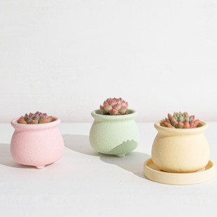 花语 素烧奶罐多肉花盆 现代简约马卡龙颜色肉肉花盆透水透气陶盆