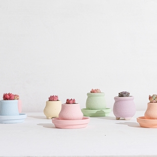 花语 多肉花盆素烧简约小盆高颜值 简约多肉植物拇指盆室内桌面盆
