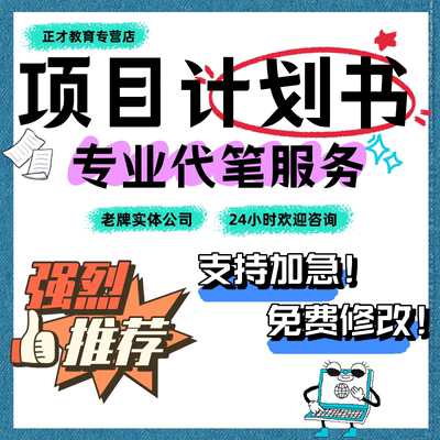 商业计划书撰写代做可行性研究报告项目立项方案策划创业融资PPT
