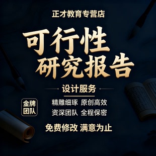 代写代写各类可行性研究报告项目可行性分析风险评估财务立项代笔