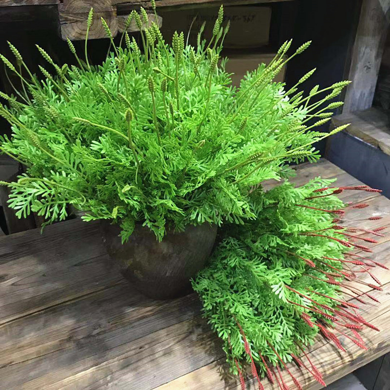 仿真菊花菜茼蒿叶塑料绿植把束花槽栅栏绿色叶子背景墙上餐厅装饰