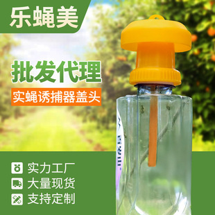 果蝇诱捕器盖头配水瓶果园菜地瓜实蝇针锋引诱剂果蝇药诱虫器