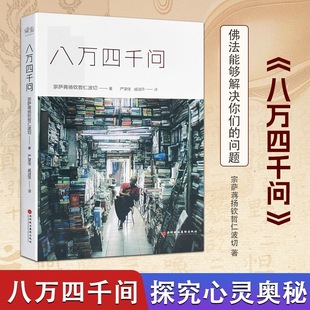 全新正版 八万四千问 宗萨蒋扬钦哲仁波切正见佛法能够解决问题