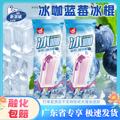 粤宝冰咖蓝莓口味冰棍62g/支
