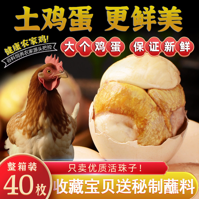 佳致五香味40枚新鲜13天活珠子鸡胚蛋开袋即食熟钢化蛋毛蛋毛鸡蛋
