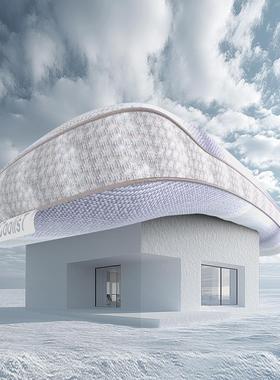 CoolisT顾乐仕天然生物基 梦享枕深睡眠记忆绵护颈奢享成人枕头