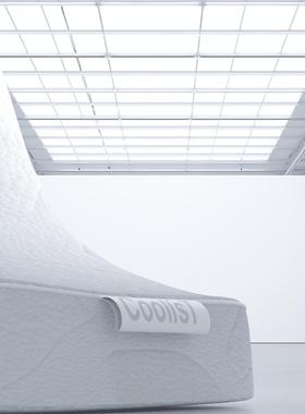 CoolisT顾乐仕天然生物基 石运枕 记忆绵慢回弹助眠透气成人枕