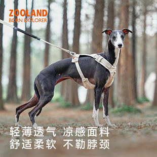 ZOOLAND狗狗胸背牵引绳遛幼小中大型犬泰迪柯基比熊边牧博美链子