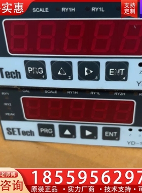 SETech YD-10S 精密数字显示仪表 【议价】