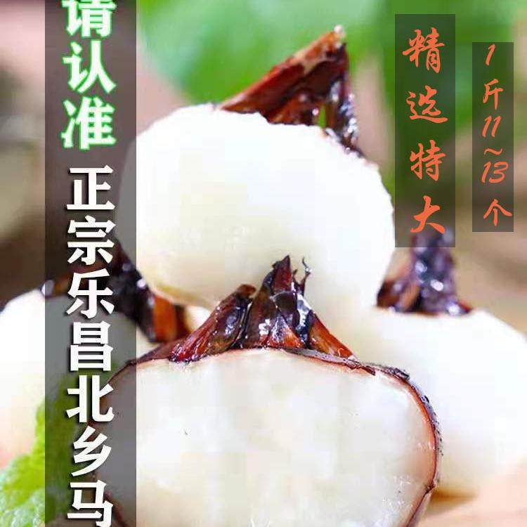 乐昌北乡荸荠清甜无渣