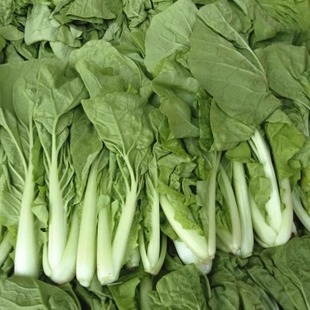 粤北当季新鲜蔬菜自由组合搭配当天新鲜现摘现发当季时蔬