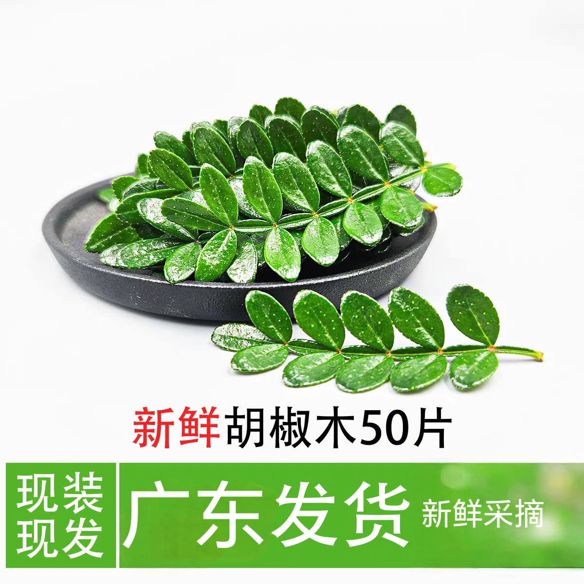 新鲜清香木西餐烘培装饰胡椒木叶子摆盘点缀花草蛋糕烘焙甜品专用