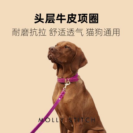 狗项圈 奥地利Molly Stitch进口手工 柔软牛皮 舒适弹性 猫狗通用