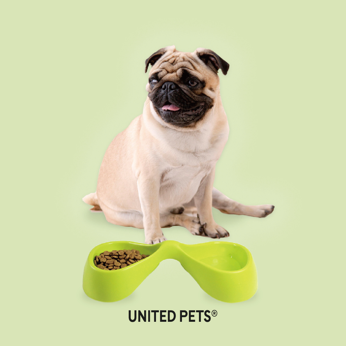 UnitedPets双碗防滑宠物碗
