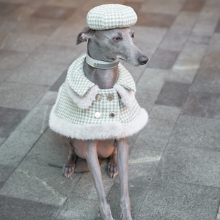 Bondir 贝雷帽报童帽小狗潮流欧洲经典风宠物装饰帽饰品