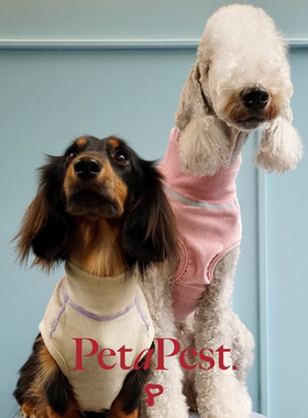 PetaPest 2024秋冬宠物丝绒撞色四针六线高领弹基础百搭猫狗背心