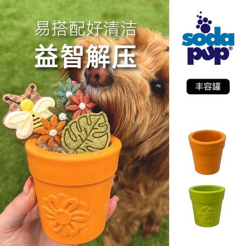 夏日冰激凌加热可冷冻碗Sodapup