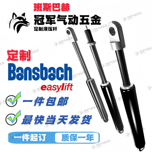 STABILUSBansbachCEPA气