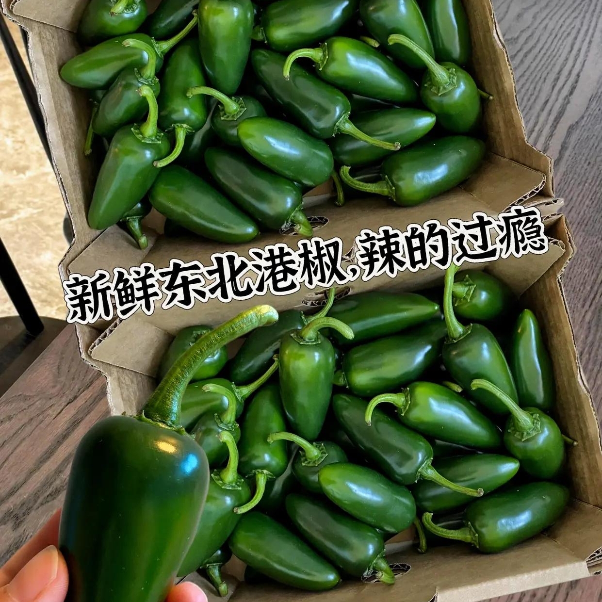 东北港椒新鲜墨西哥辣椒特辣剁椒当季腌制正宗泡椒肉厚酱油椒包邮