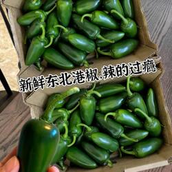 东北港椒新鲜墨西哥辣椒特辣剁椒当季腌制正宗泡椒肉厚酱油椒包邮