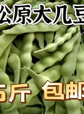 东北松原大几豆角鼓豆面豆角无筋油豆角开锅烂将军豆绿色新鲜蔬菜