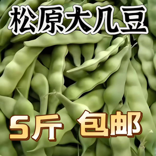 东北松原大几豆角鼓豆面豆角无筋油豆角开锅烂将军豆绿色新鲜蔬菜