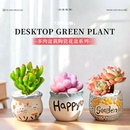 多肉小盆栽植物组合室内带陶瓷花盆土老桩仙人球绿植稀有品种名贵