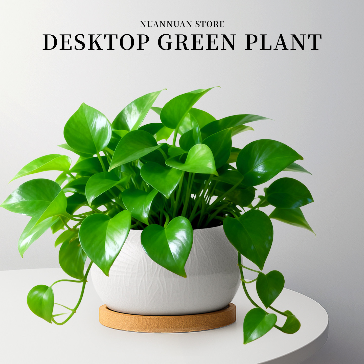 除醛新房净化空气|大颗绿萝