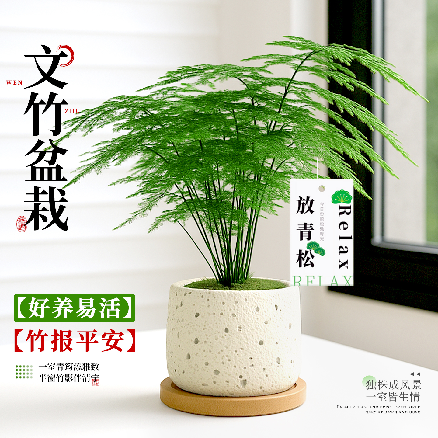 谦谦君子半窗竹影伴清宁休闲一刻