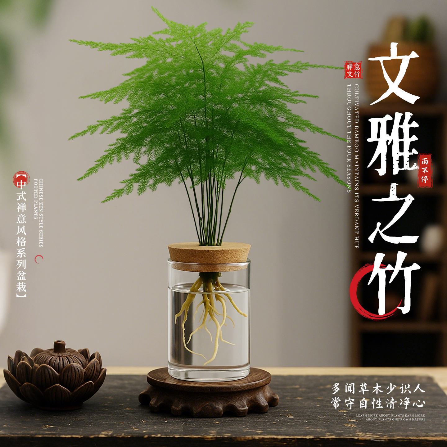 文竹水培植物绿植办公室内桌面禅意盆栽招财绿萝花卉客厅四季好养