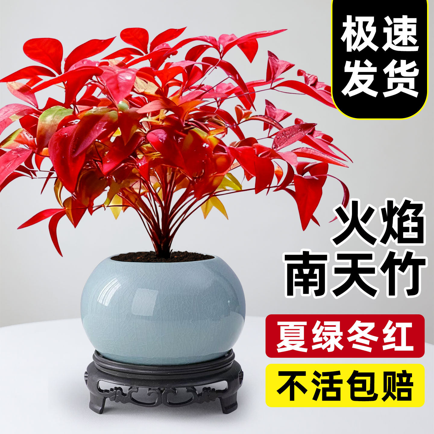 春绿冬红享受四季不同美感