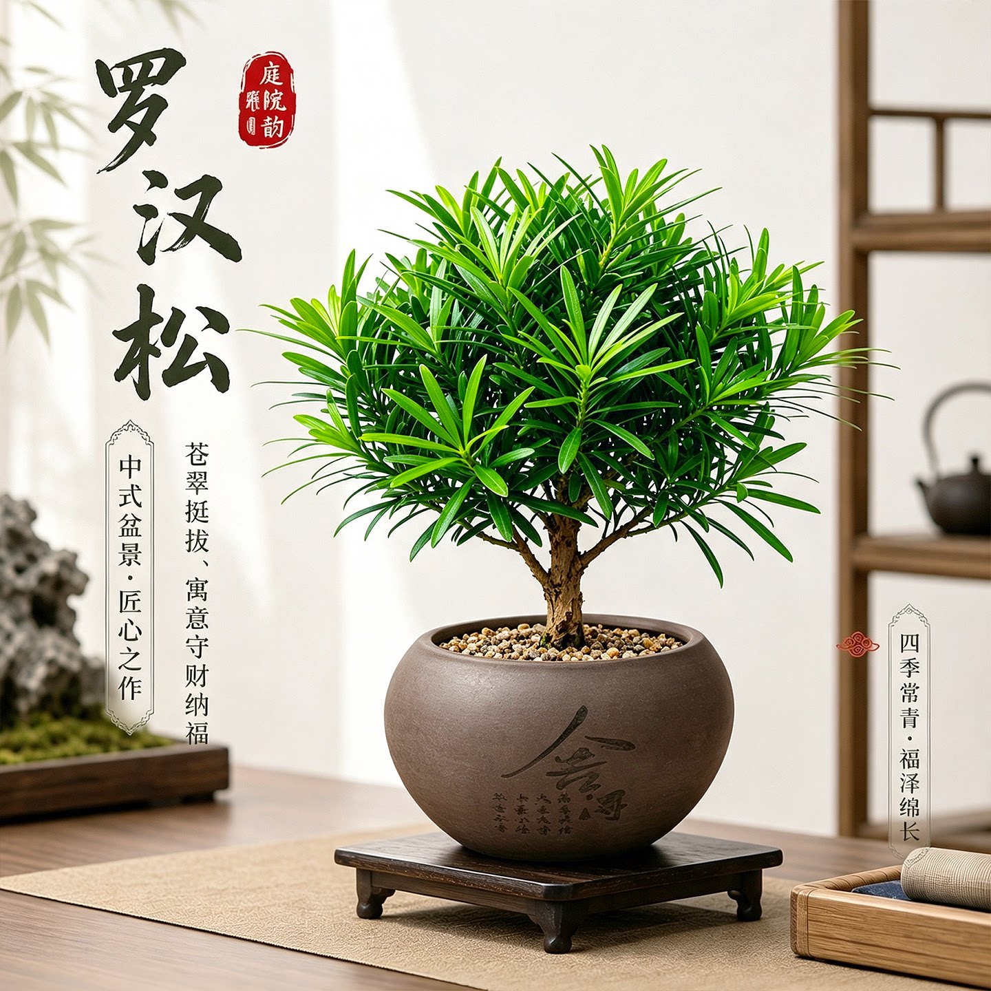 新中式禅意罗汉松盆栽罗汉松盆办公室内节日送礼四季常青好养绿植