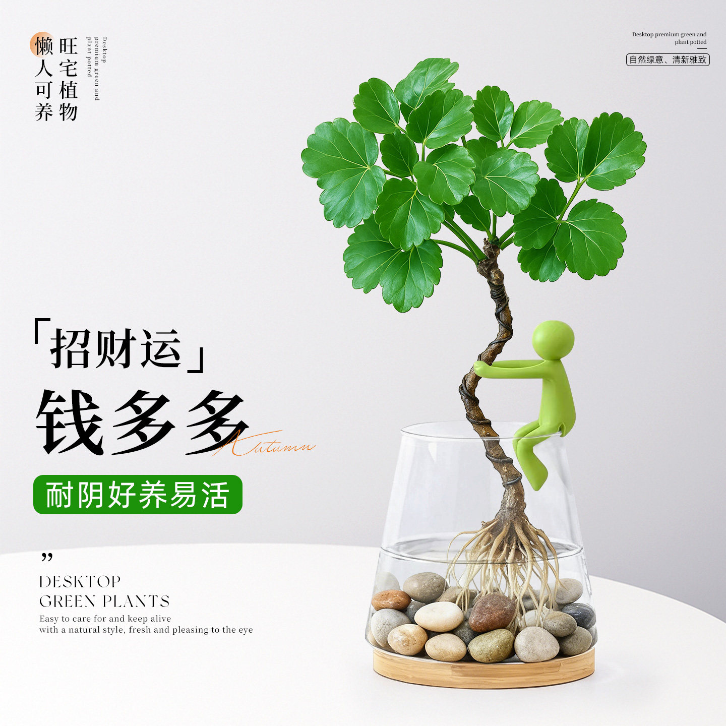 超治愈|独特创意钱多多