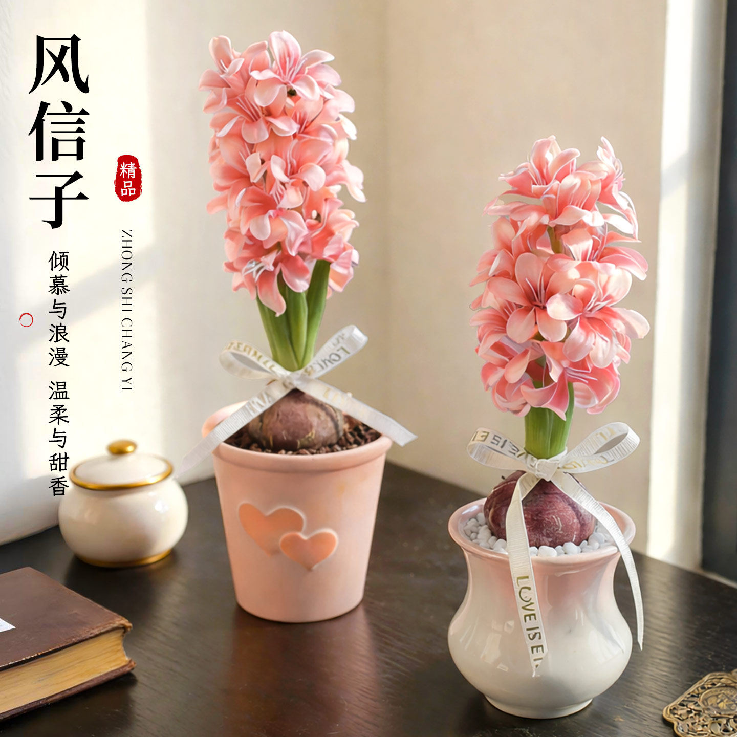 风信子种球植物盆栽带盆粉色花朵花卉绿植办公室内桌面四季好养活