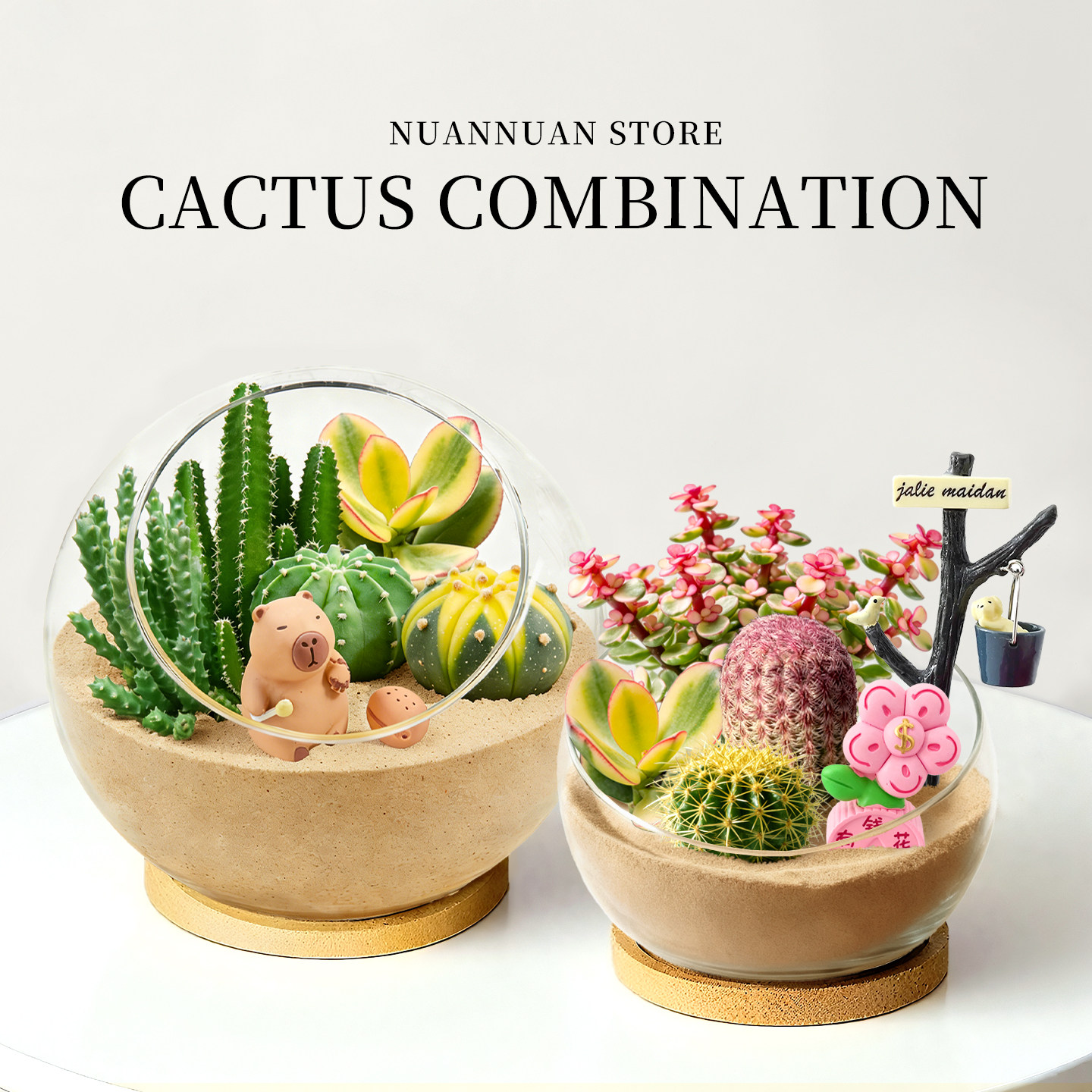 多肉绿植物组合盆栽景仙人掌球办公室内桌面diy懒人儿童趣味好养