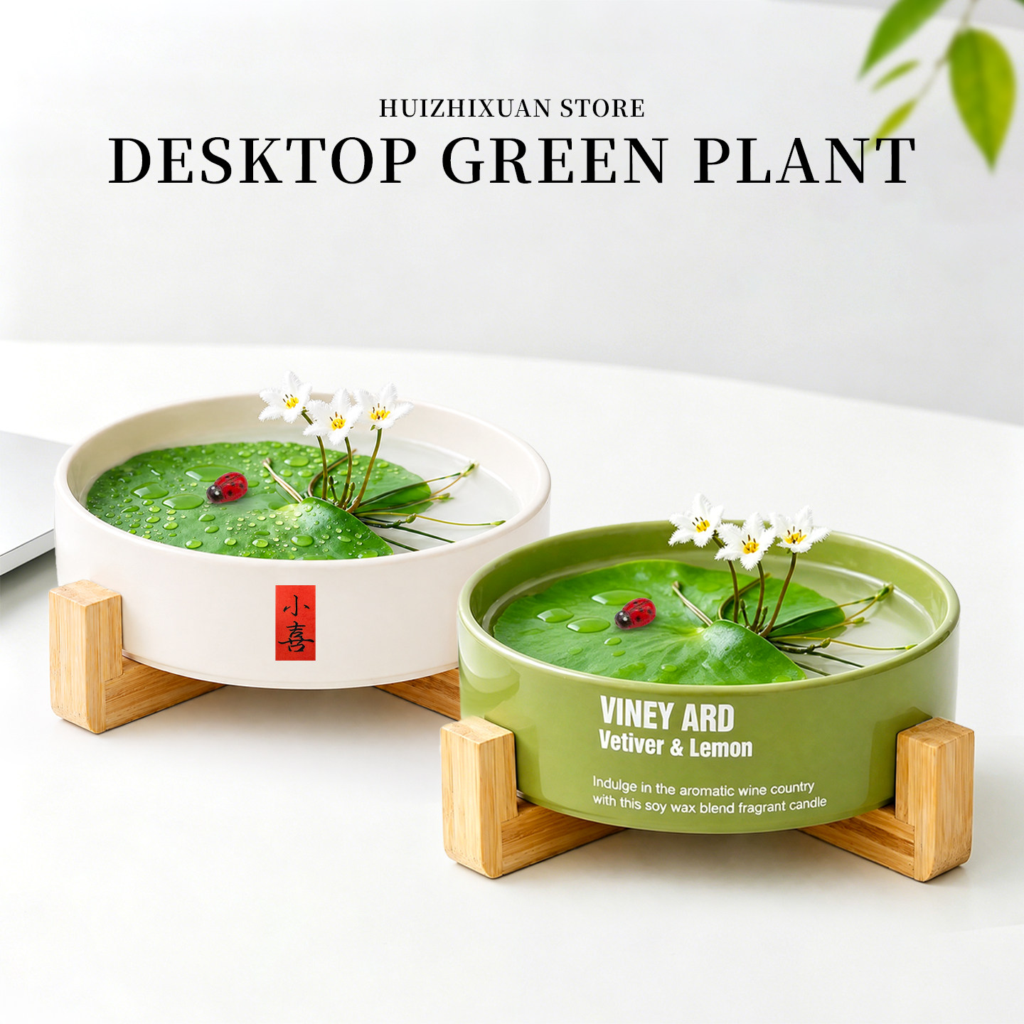一叶莲碗莲水培绿植物室内花卉水养莲花水草净化水质除甲荃四季青