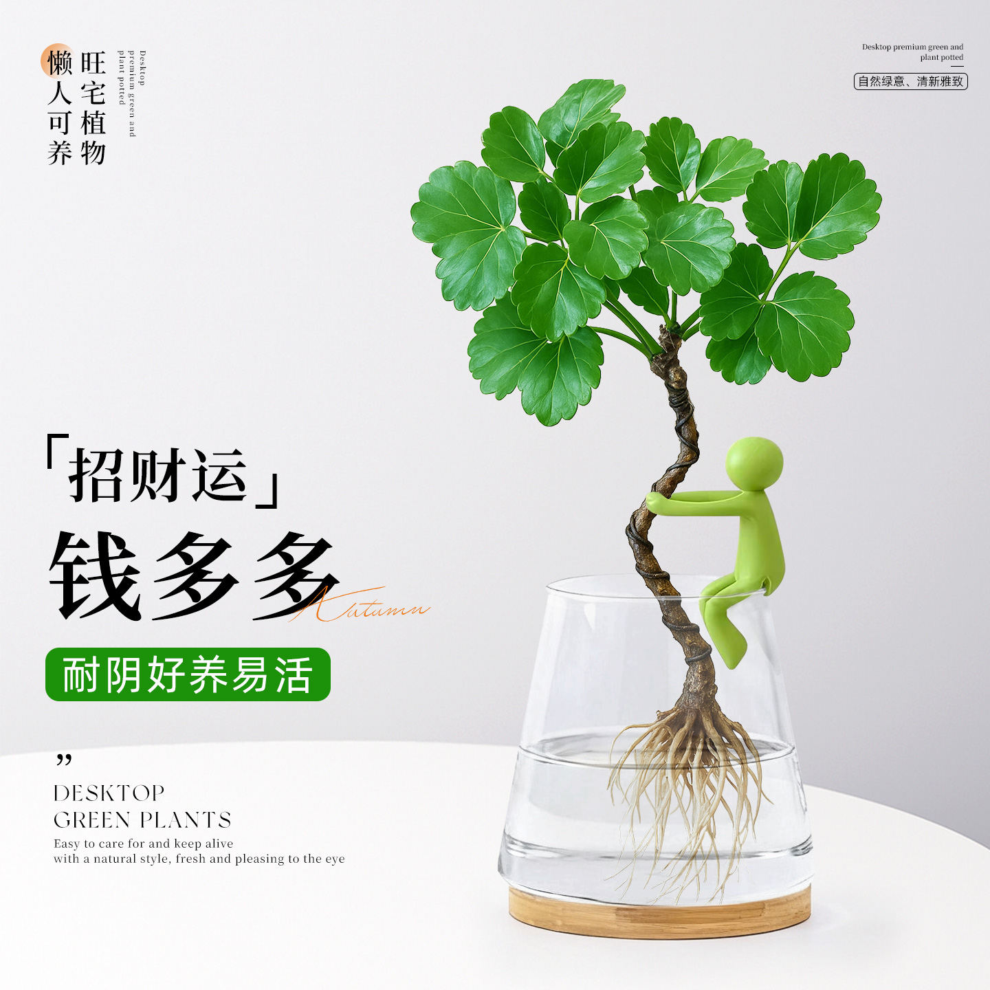 超治愈|独特创意钱多多