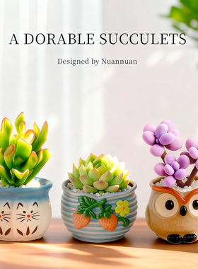 多肉植物室内小盆栽办公室桌面仙人球绿植花稀罕幼儿园仙人掌礼物