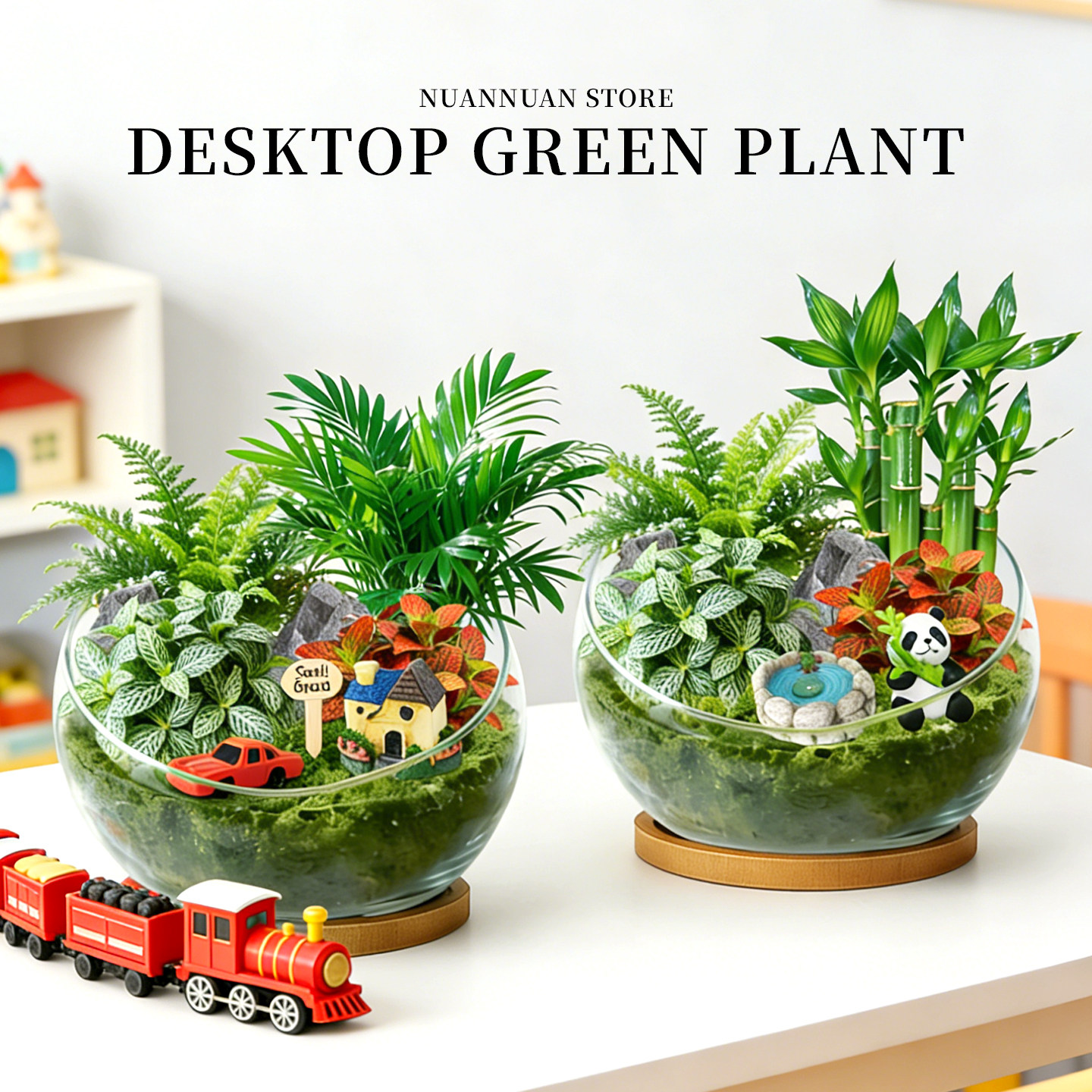 创意绿植蕨类植物diy盆栽生态盆景苔藓微景观幼儿园办公室内团建