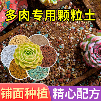 多肉营养专用颗粒土植物进口泥炭花土微酸矿物岩纯颗粒介质铺面石