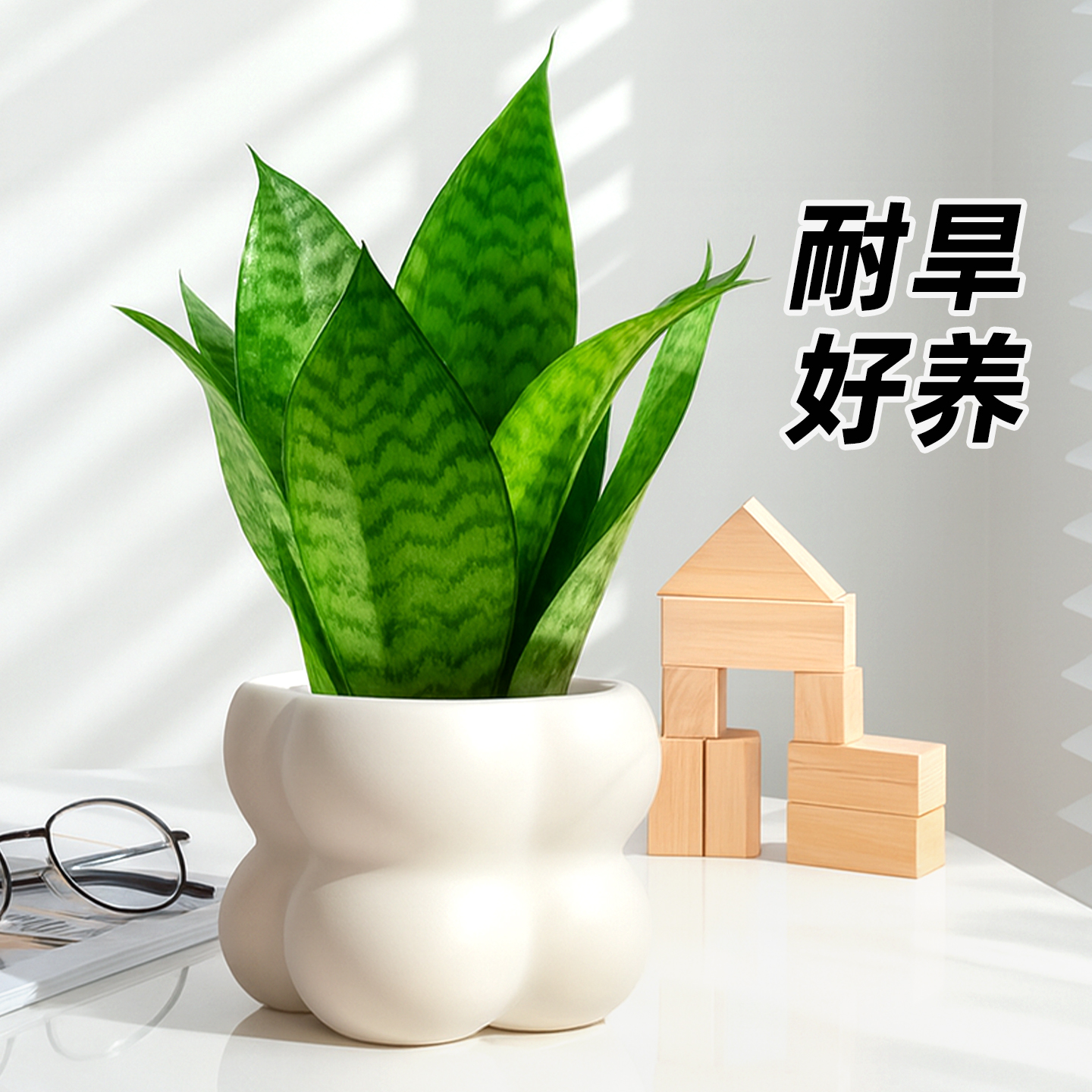 富贵虎皮兰虎尾兰室内绿植物办公室桌面盆栽家居装饰耐阴净化空气