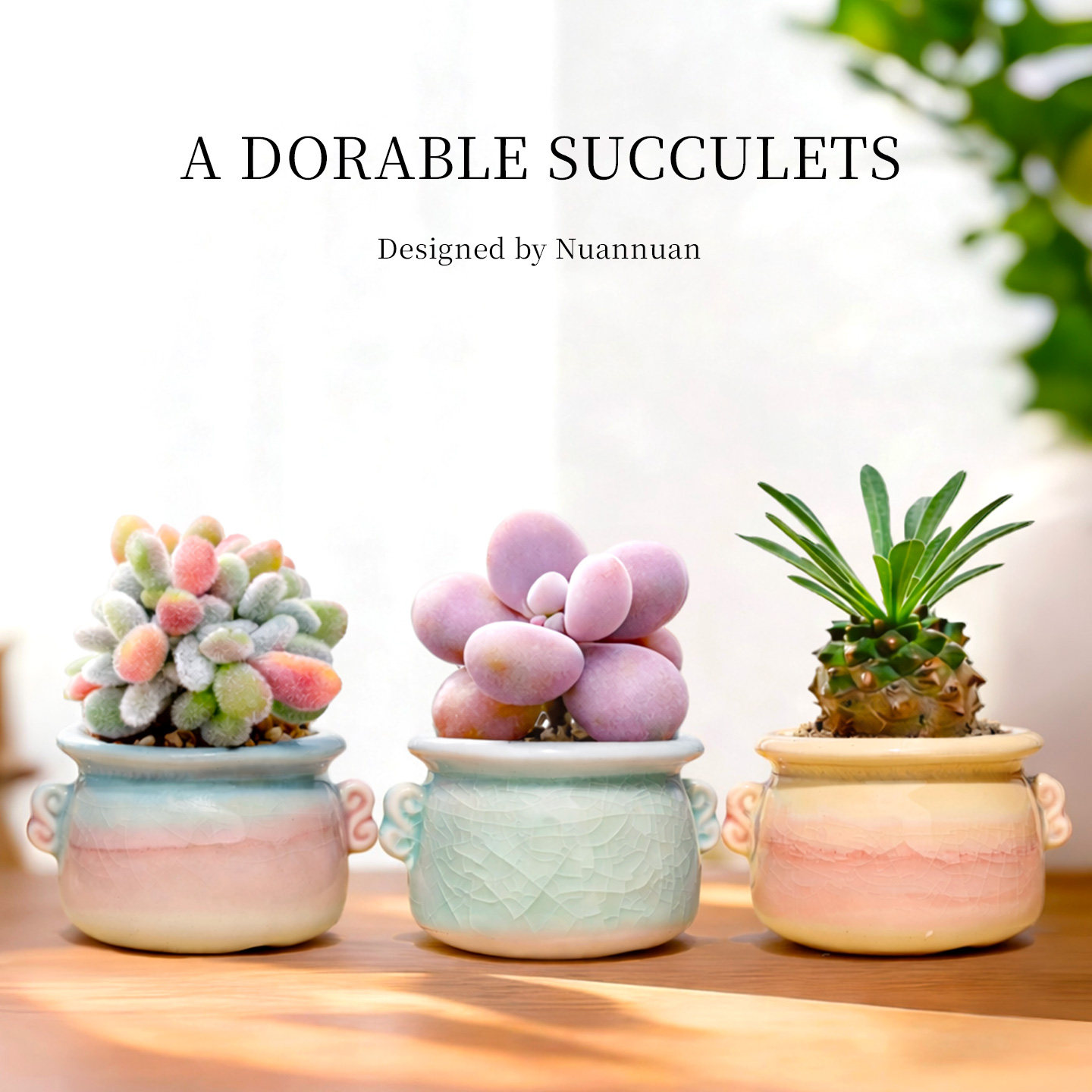 多肉迷你小盆栽客厅室内桃蛋绿植花稀罕办公室桌面阳台植物幼儿园,鲜花速递/花卉仿真/绿植园艺,多肉植物,淘宝优惠券,粉丝福利购,淘宝优惠卷