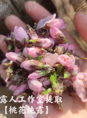 桃花纯露CLR/采露人提亮肤色